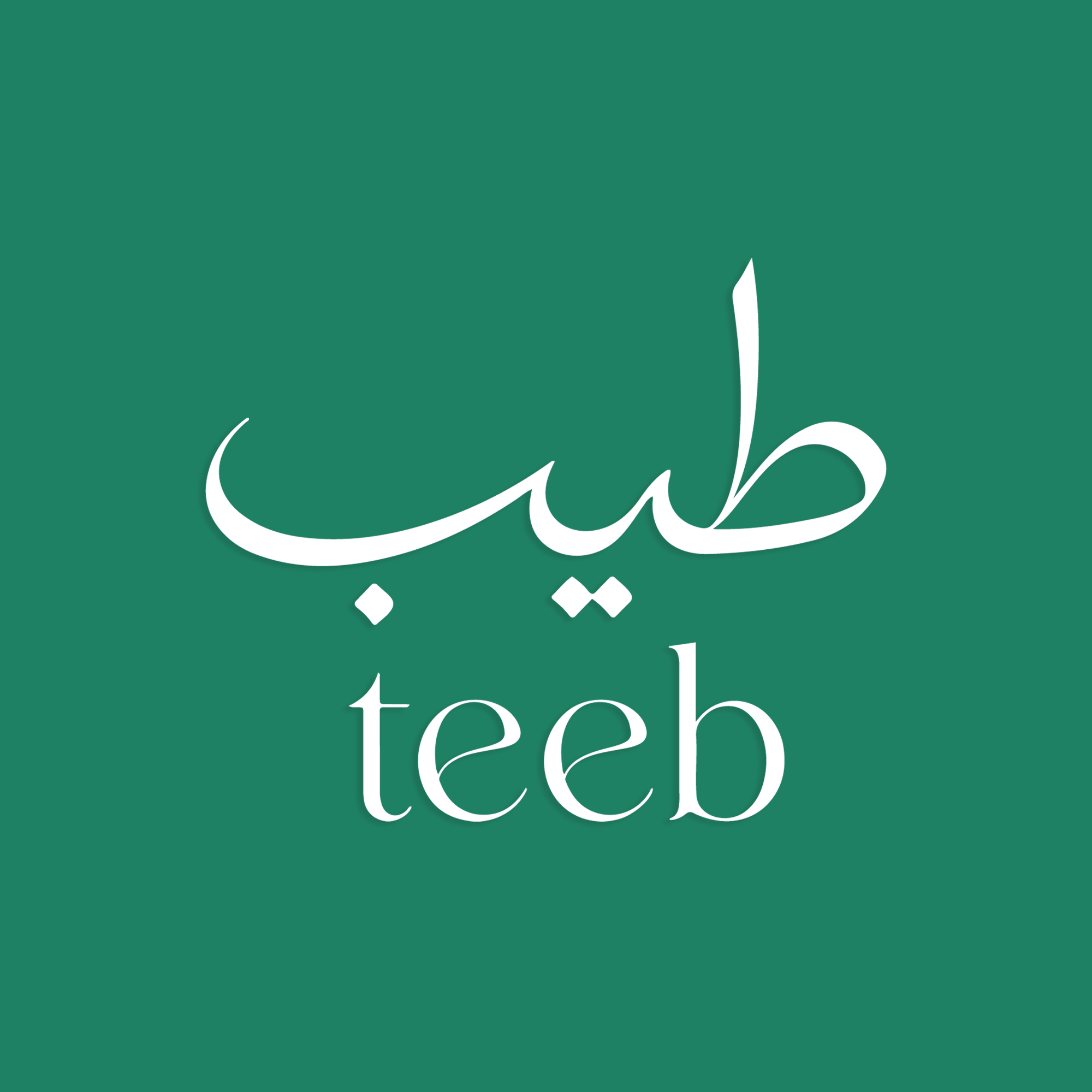 Teeb logo