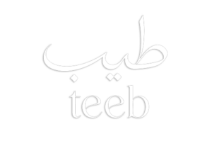 teeb logo whiteqwe