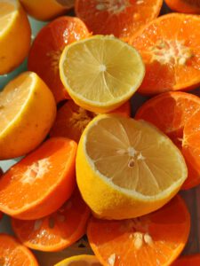 Freshly cut citrus fruits including oranges and lemons basking in sunlight, highlighting their vibrant colors.