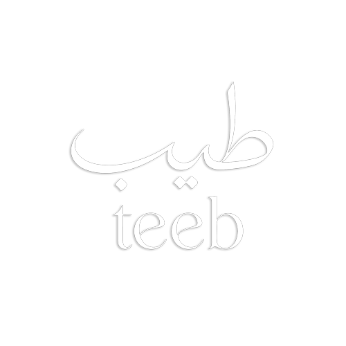 teeb logo whiteqwe